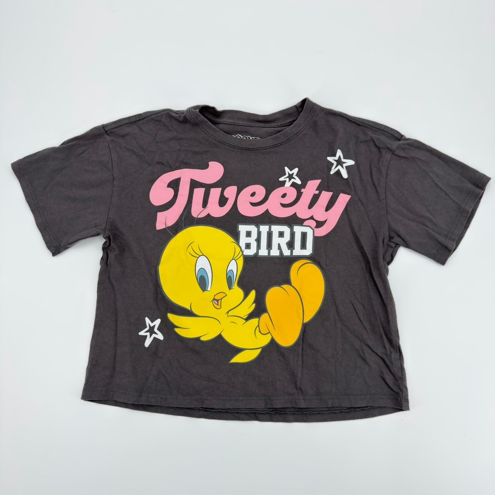 Looney Tunes Tweety Bird Sylvester T-Shirt Gray Kids Size M 10/12 Cropped